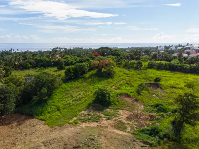 DJI_0534